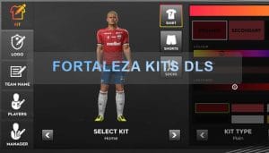 Fortaleza kits dls