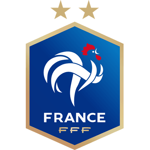 Logo France DLS 512 x 512