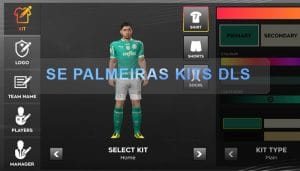 SE Palmeiras kits dls
