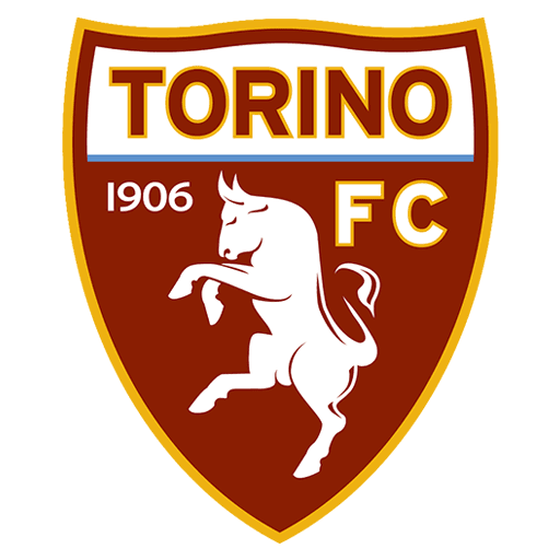 Logo Torino DLS 512 x 512